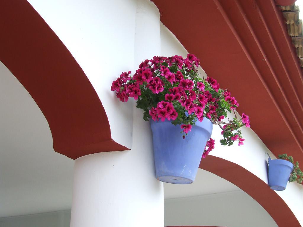 Villa Frasquita 普里埃格·德·科尔多巴 外观 照片